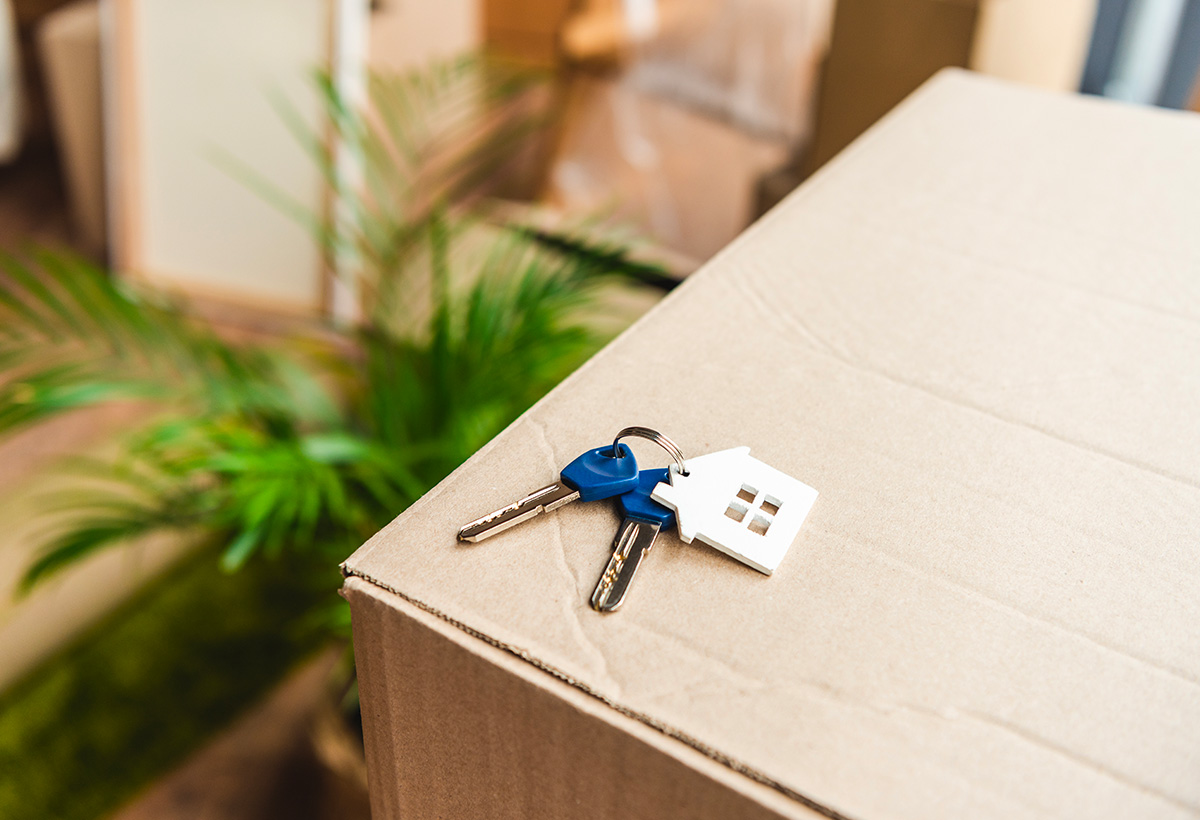 conseils changement adresse demenagement
