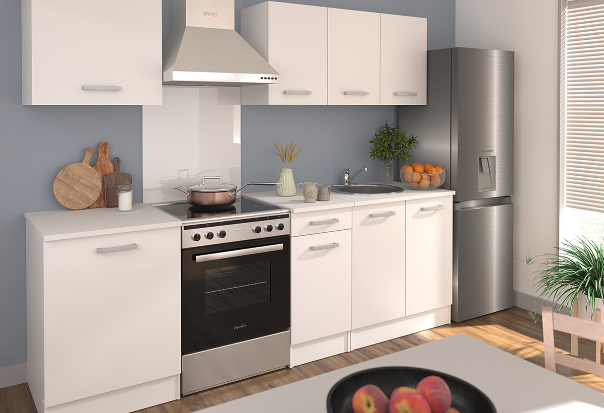 choix cuisiniere vitroceramique induction