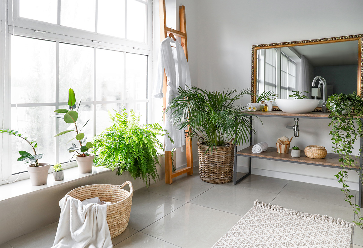 choix plantes salle de bain
