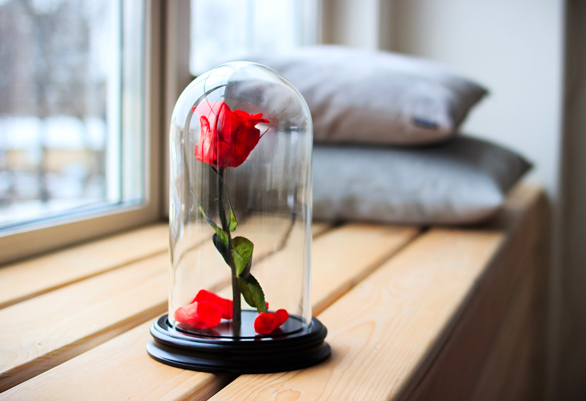 idee deco rose eternelle
