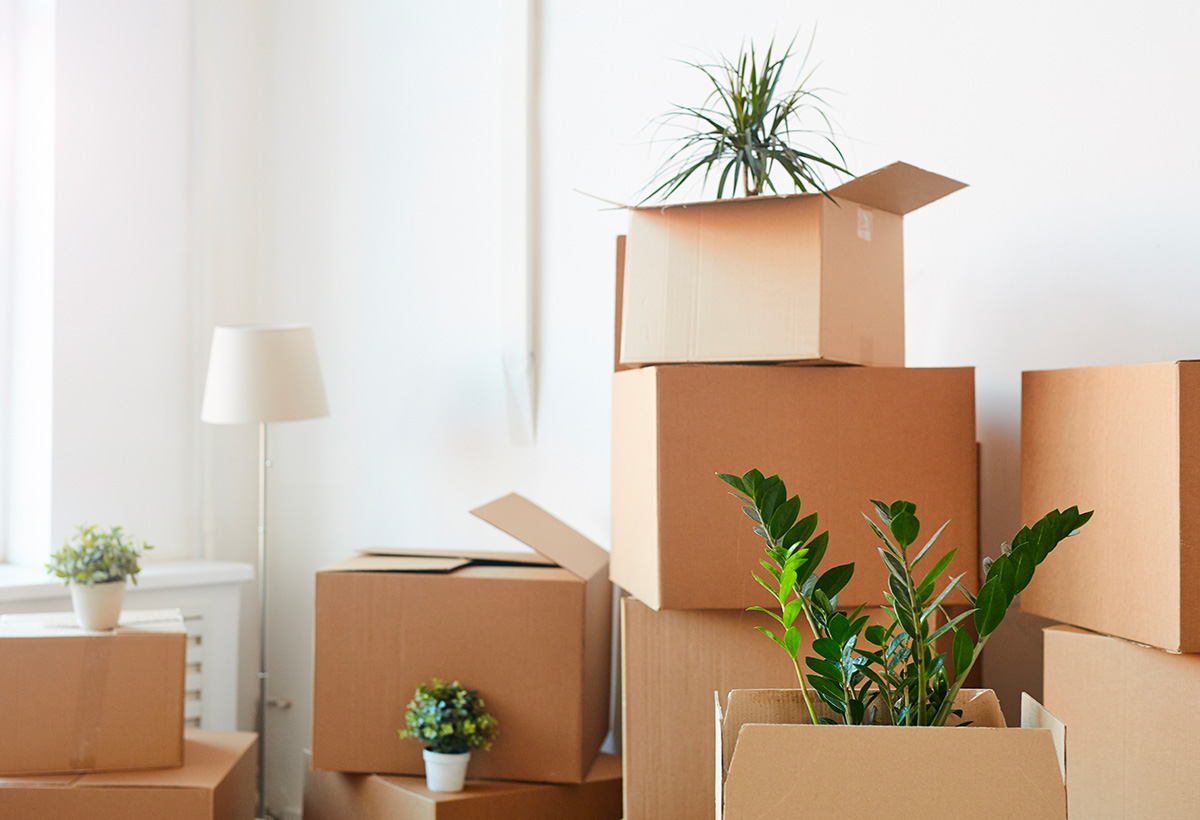 organiser demenagement ecolo