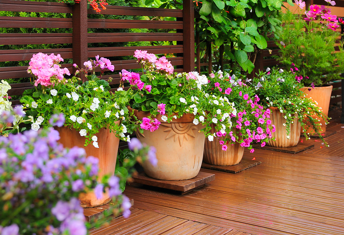 disposition pots terrasse