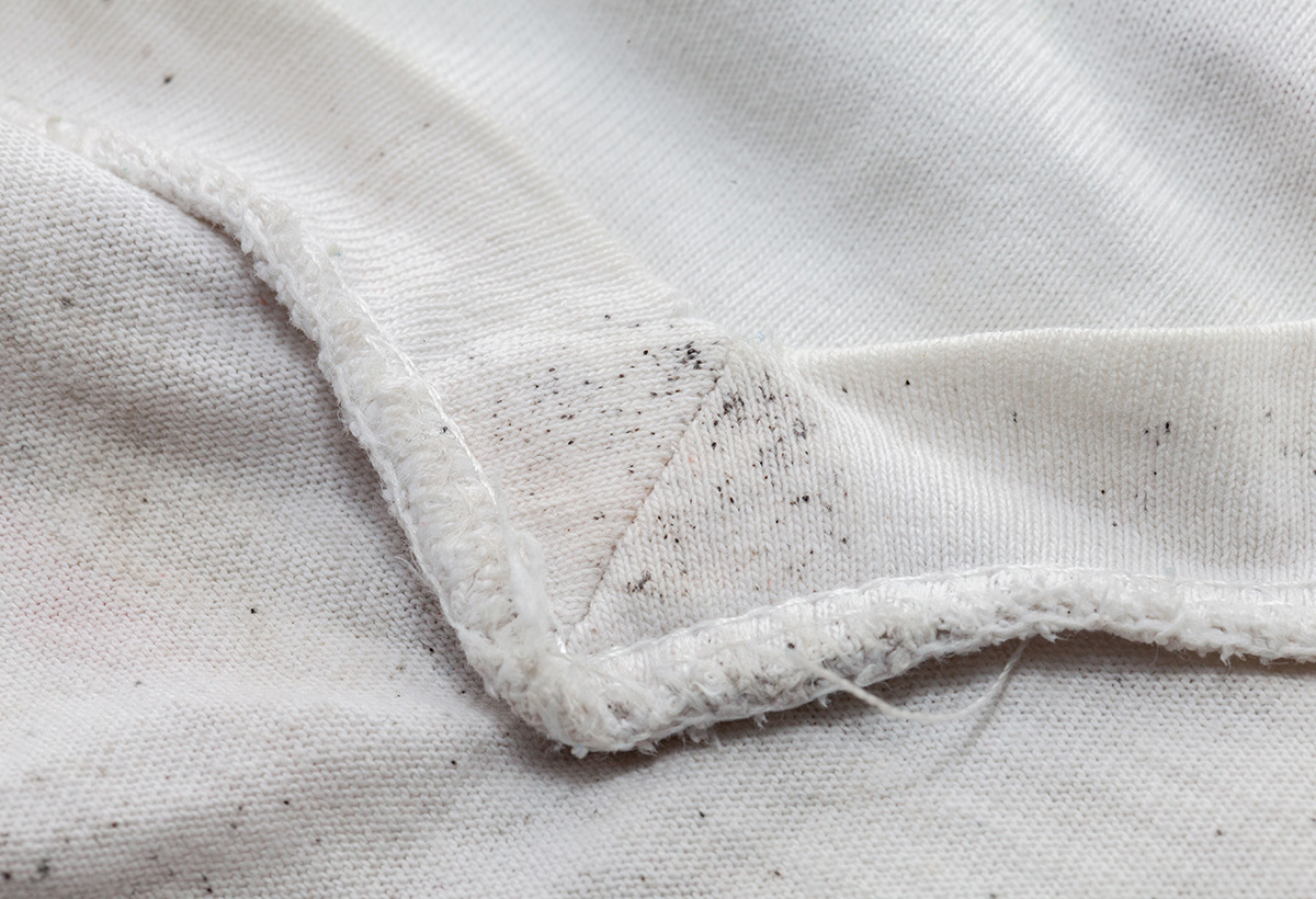 eliminer moisissure tissu