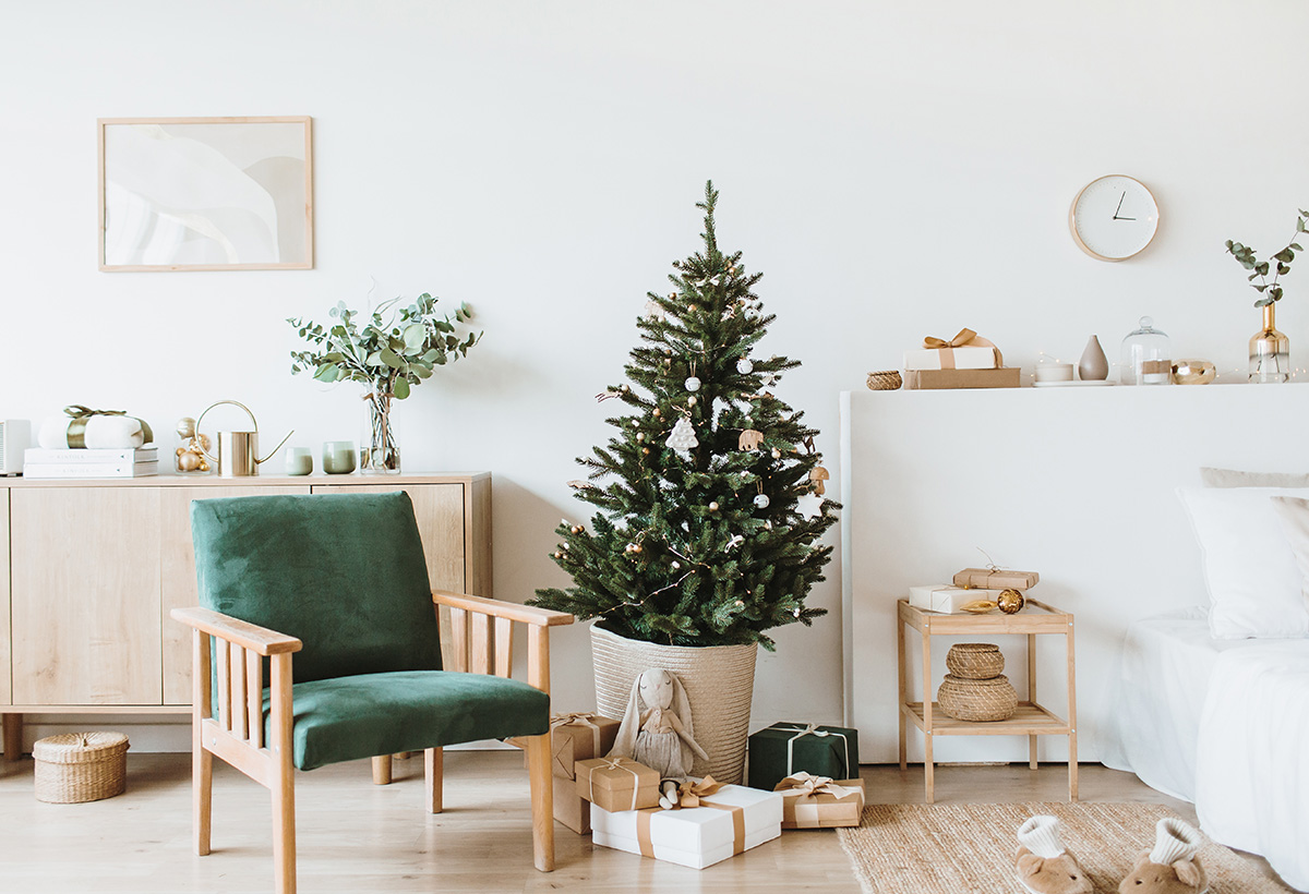 entretien sapin naturel coupe