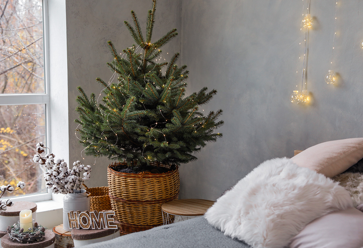 astuces faire tenir sapin de noel