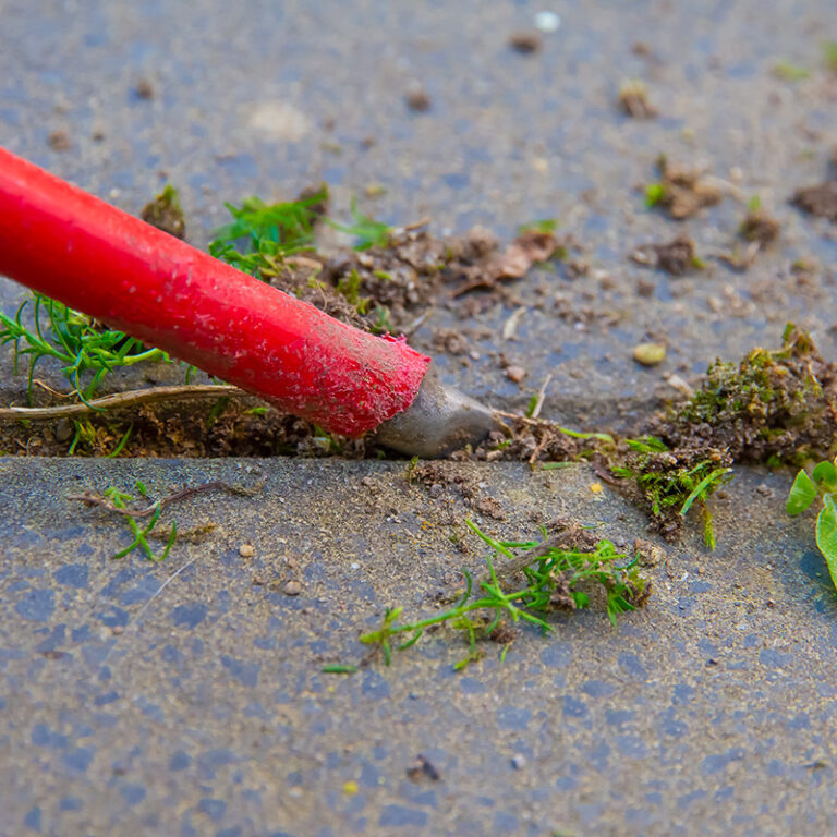 Comment enlever la mousse sur une terrasse ? Blog BUT