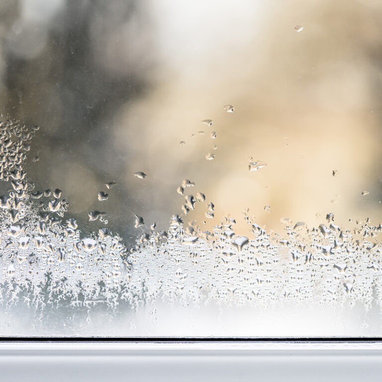 Humidité dans une chambre : nos solutions – Blog BUT