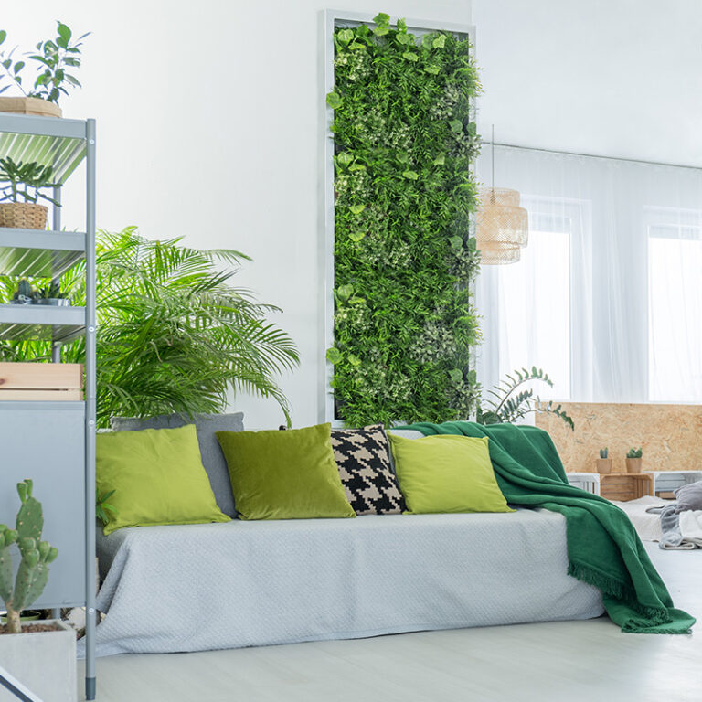 Comment faire un mur végétal ? ? Blog BUT — free download