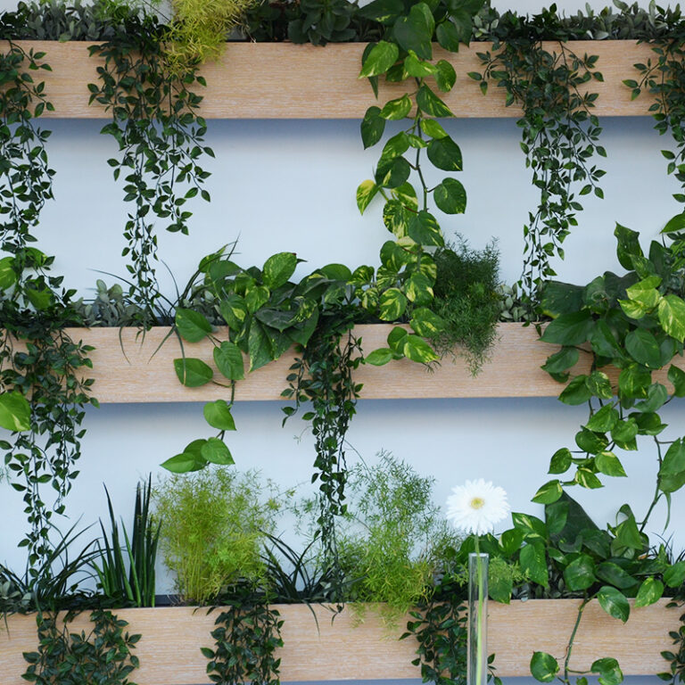 Comment faire un mur végétal ? ? Blog BUT — free download