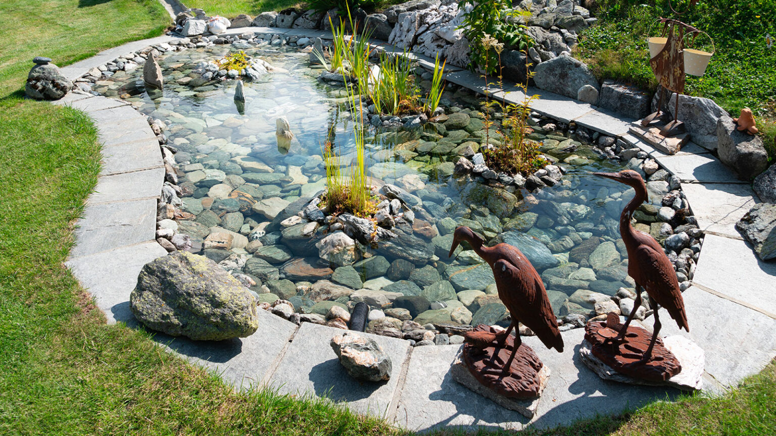 idees amenagement bassin exterieur