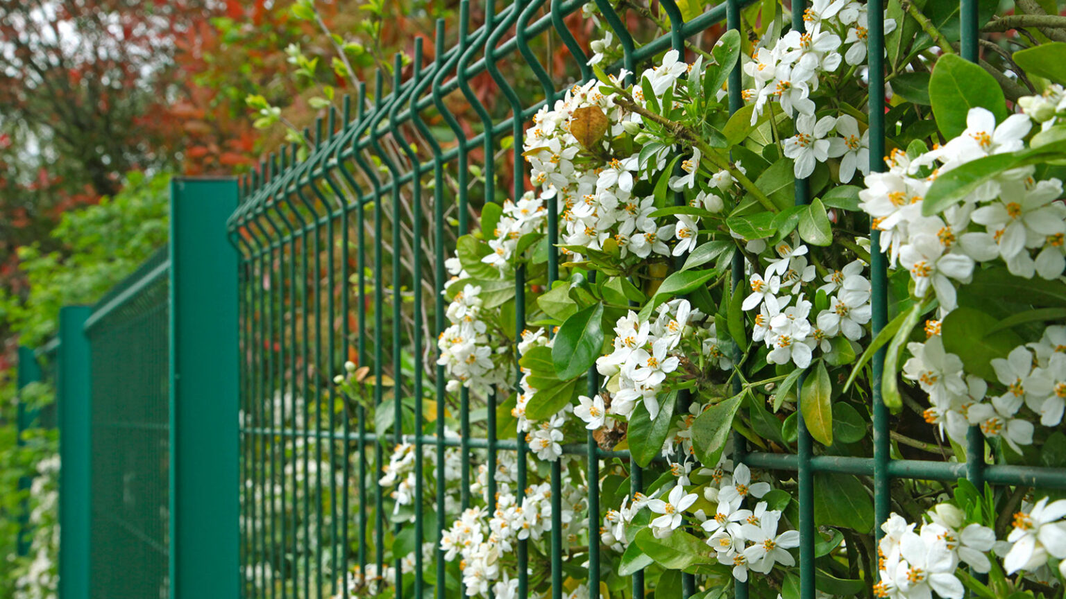 comment fixer brise vue