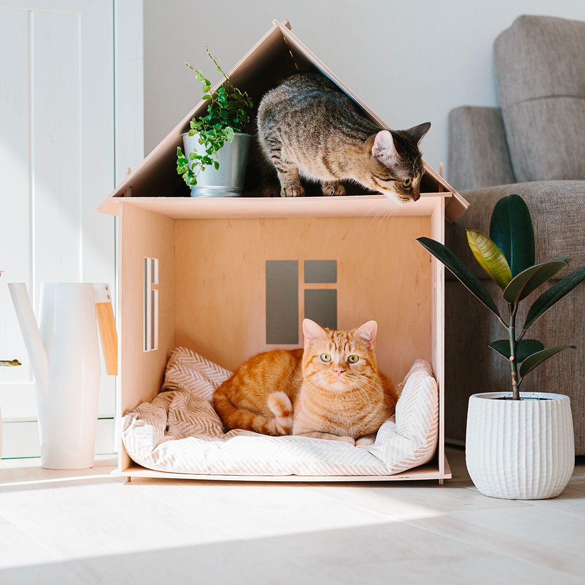Modèles de maisons pour chat à faire soimême Blog BUT — free download