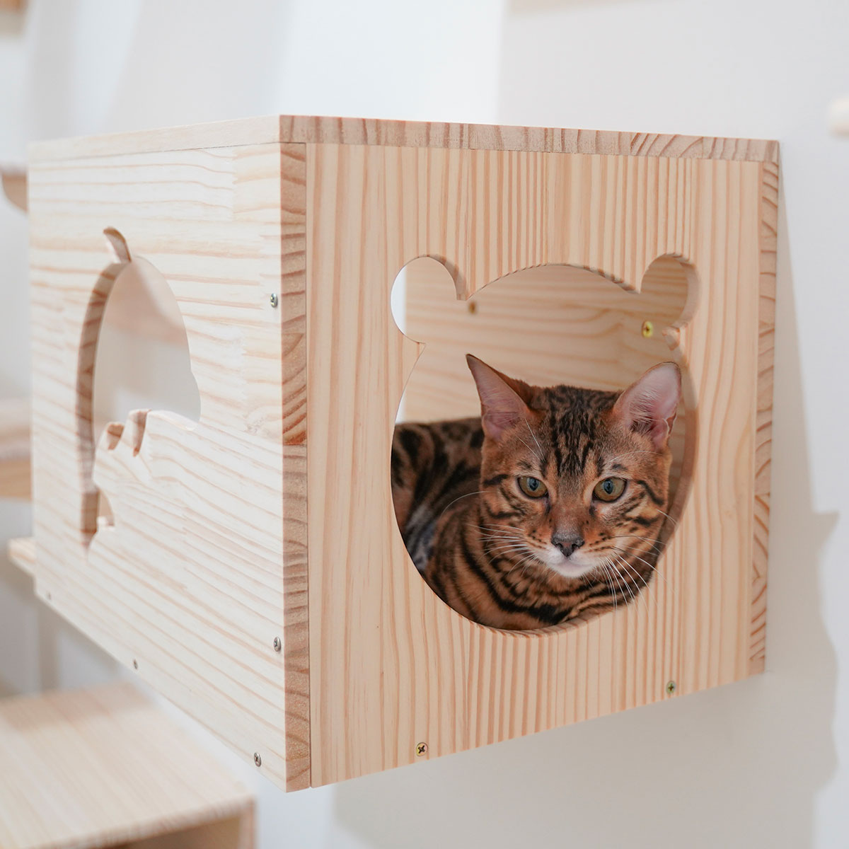 Maison Pour Chat 2 Étages En Bois Démontable Avec 2 Coussins – Nid Douillet – Marron – Neuf