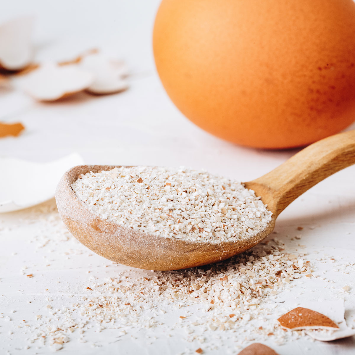 DMC Mouliné Spécial® (Art. 117) 3770 Coquille D'oeuf