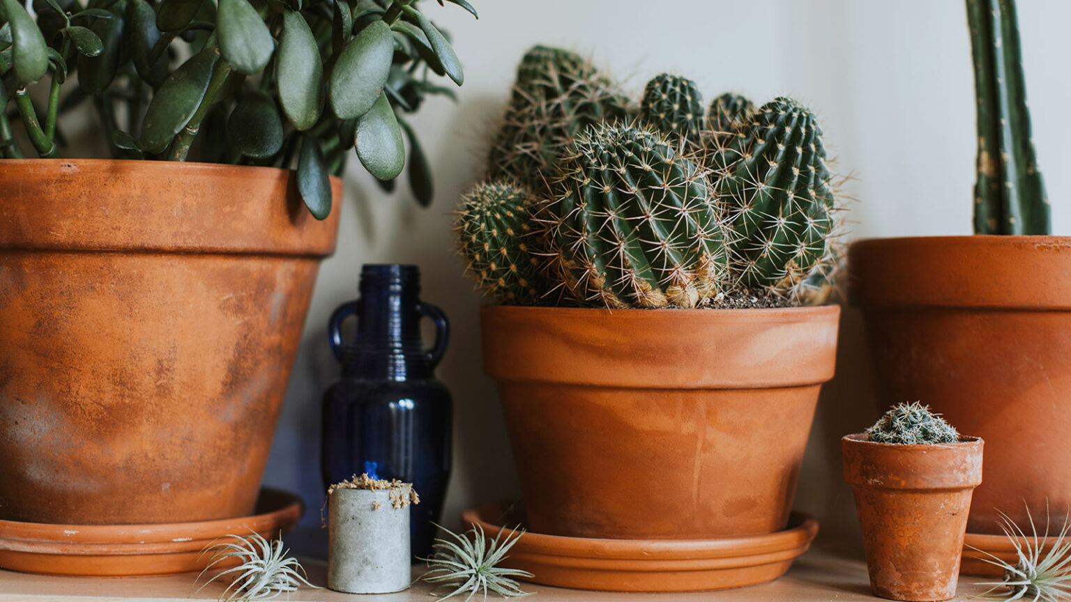 comment integrer terre cuite decoration mediterraneenne