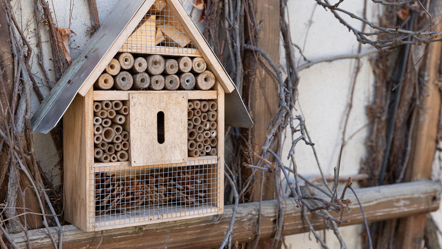 a quoi sert maison insecte