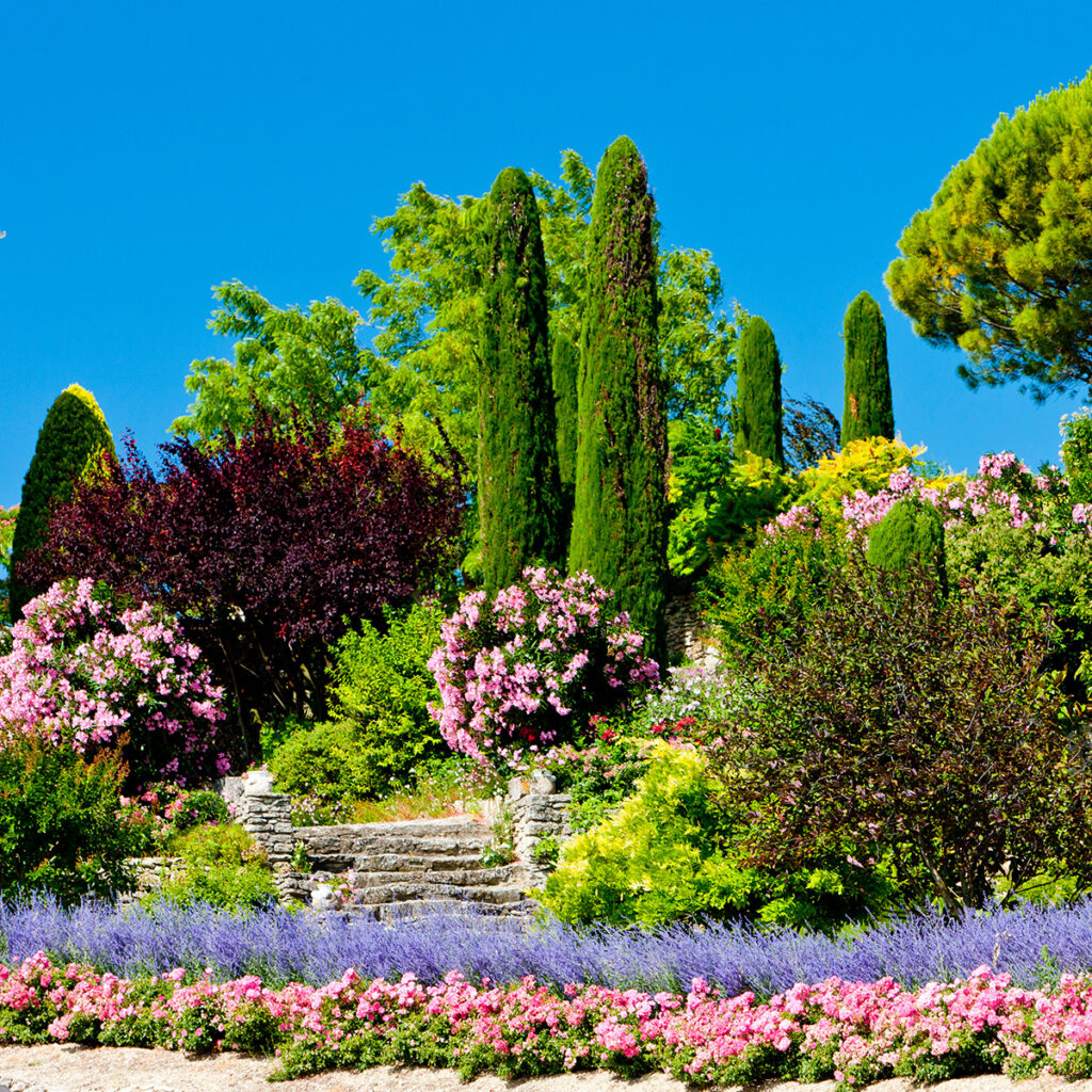 choisir plantes jardin provencal