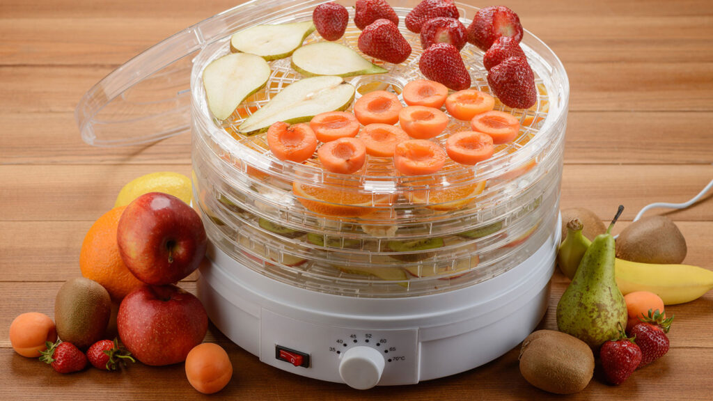 conseils pour choisir deshydrateur
