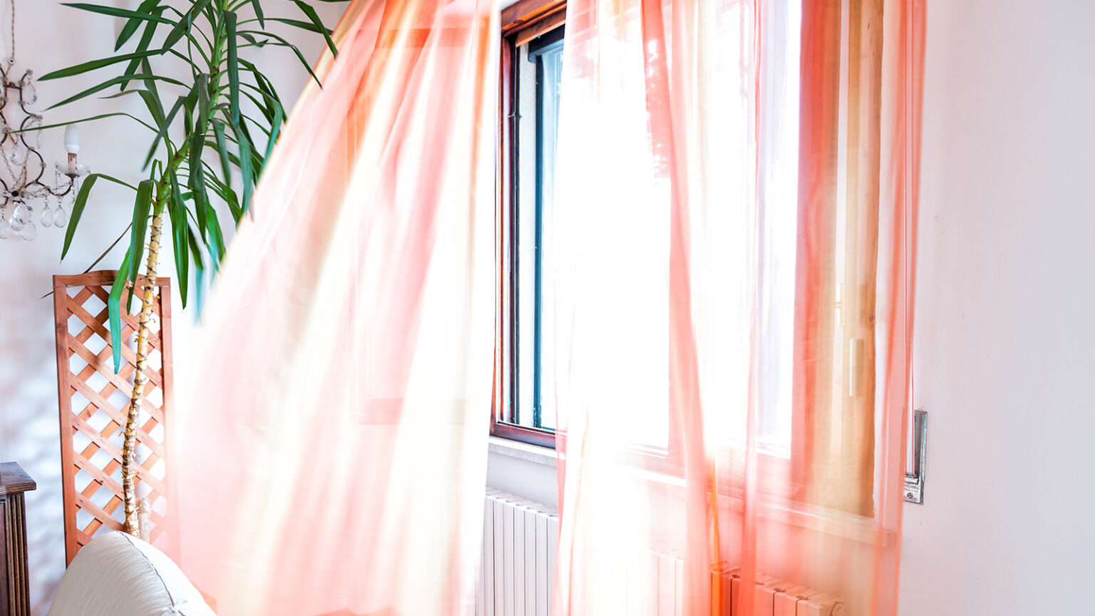 conseils pour se rafraichir ete