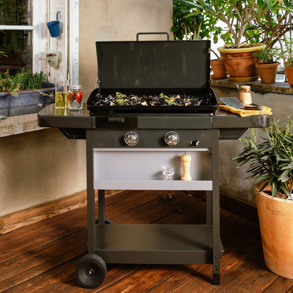 barbecue gaz accessoires barbecue gaz