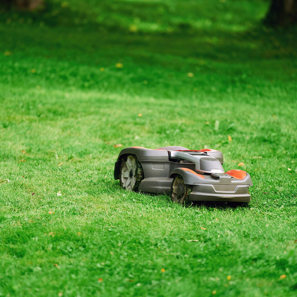 tondeuse robot tondeuse robot domotique jardin