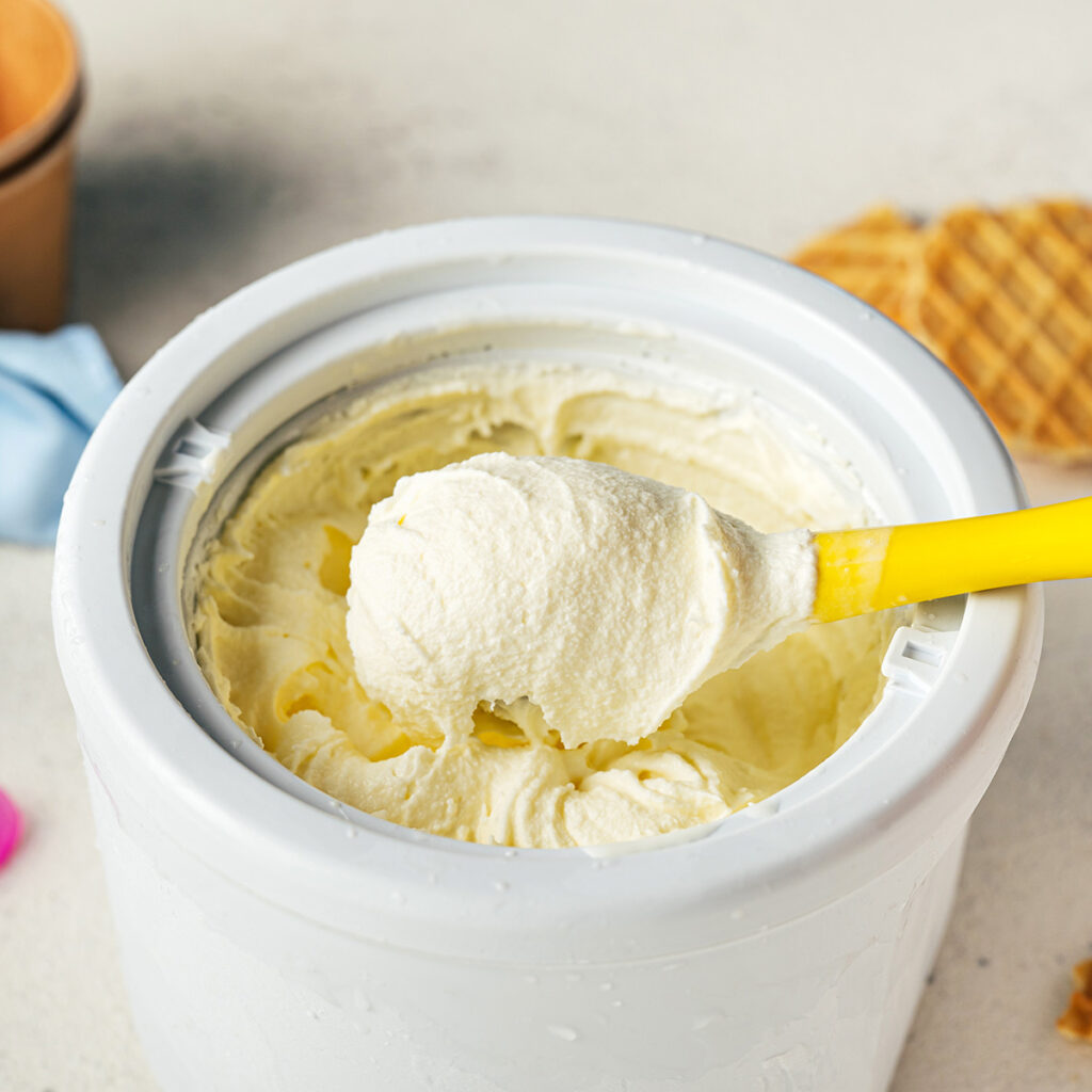 creme glacee sorbetiere ete