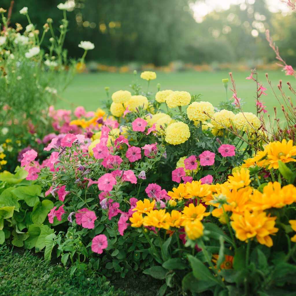 capteurs connectes plantes jardin