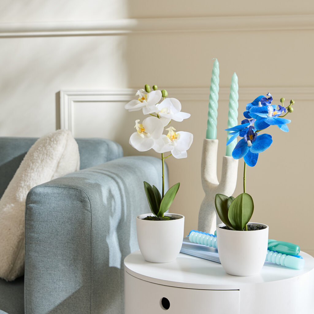 orchidees artificielles cadeau cremaillere