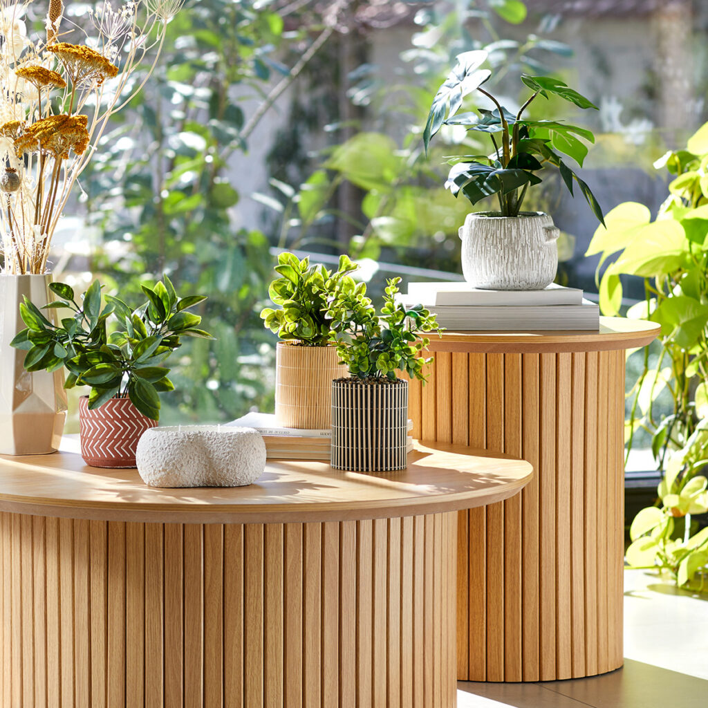 plantes decoration naturelle design biophilique