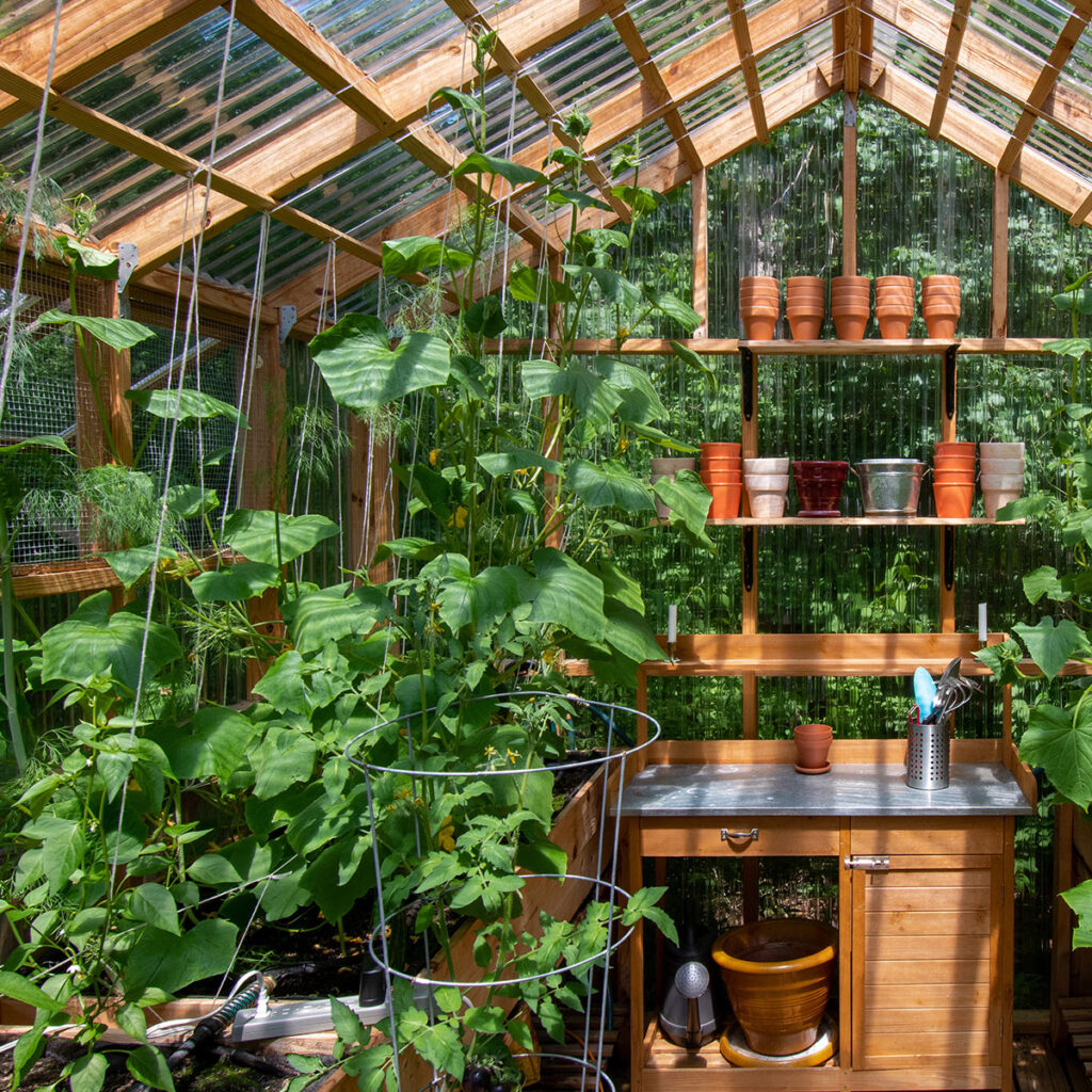 ficelle tuteurs plantes grimpantes serre