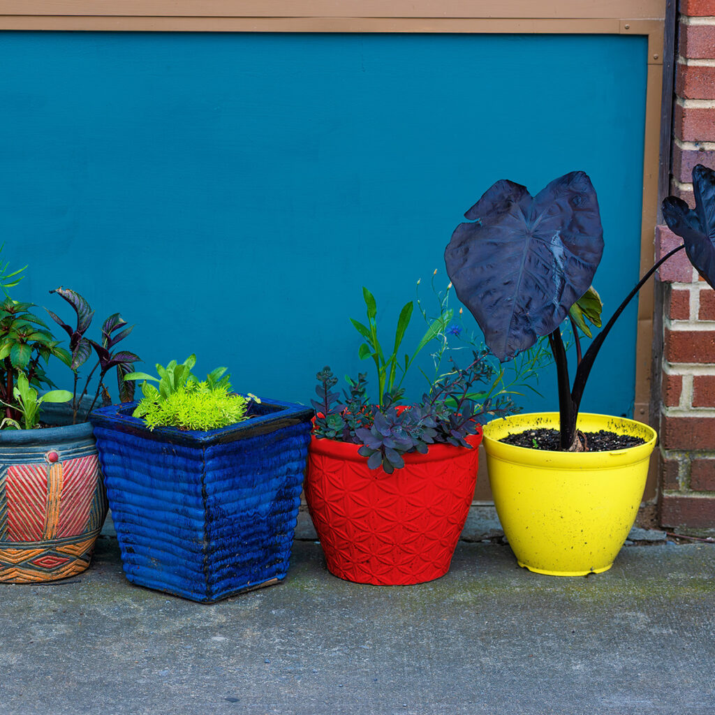 pots style primarycore jardin