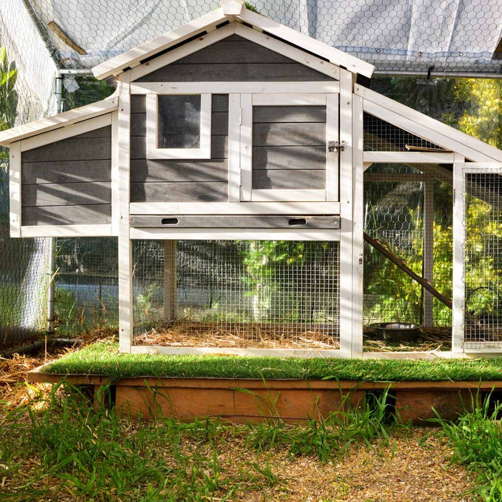 choisir structure poulailler