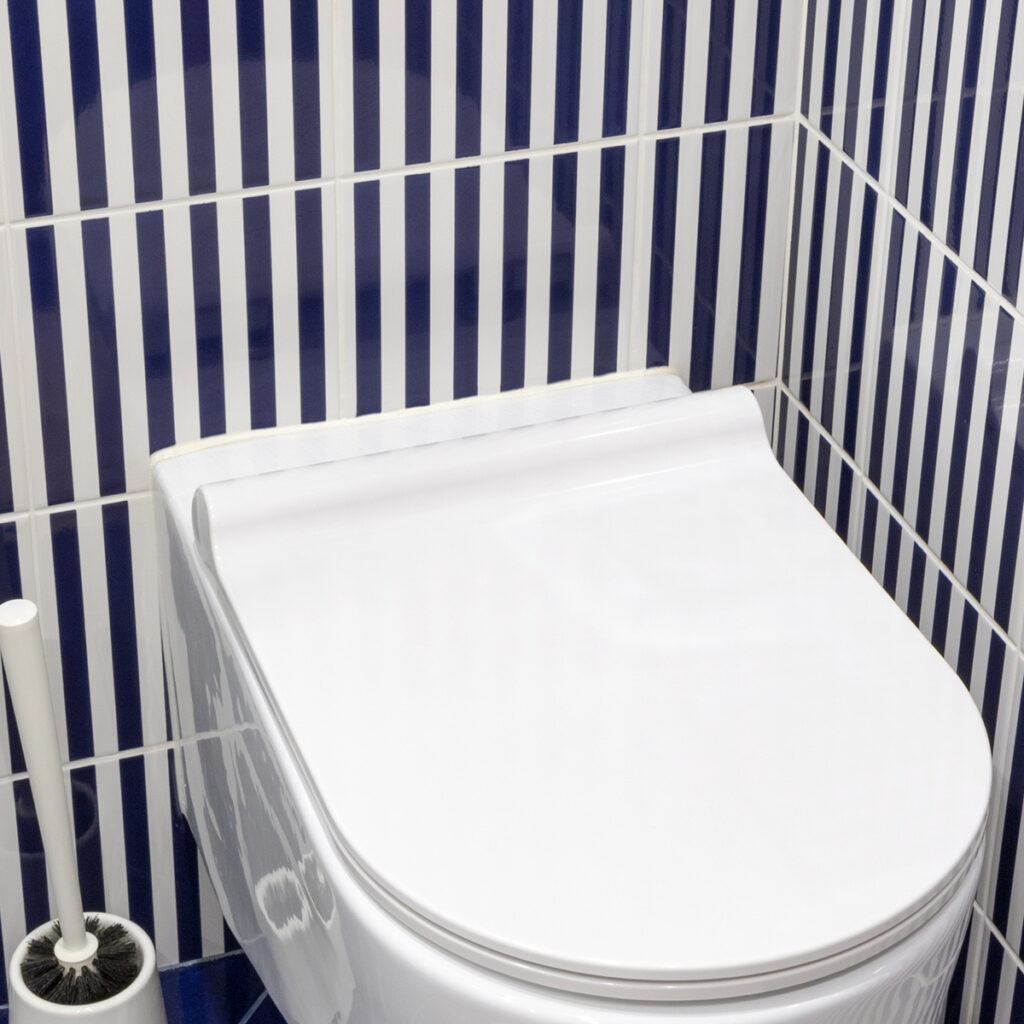 rayures carrelage toilettes originales