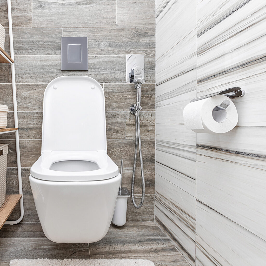 rayures horizontales grises mur toilettes