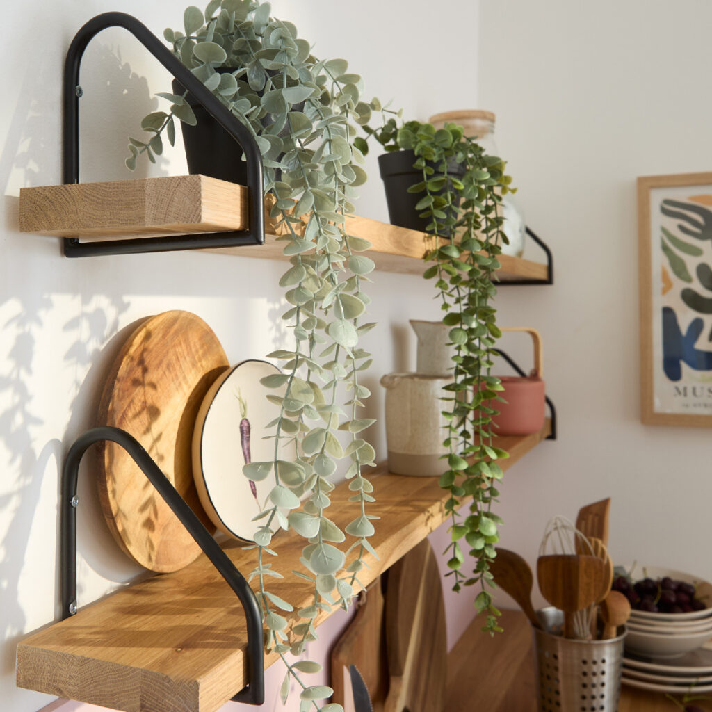 plante cuisine forestcore