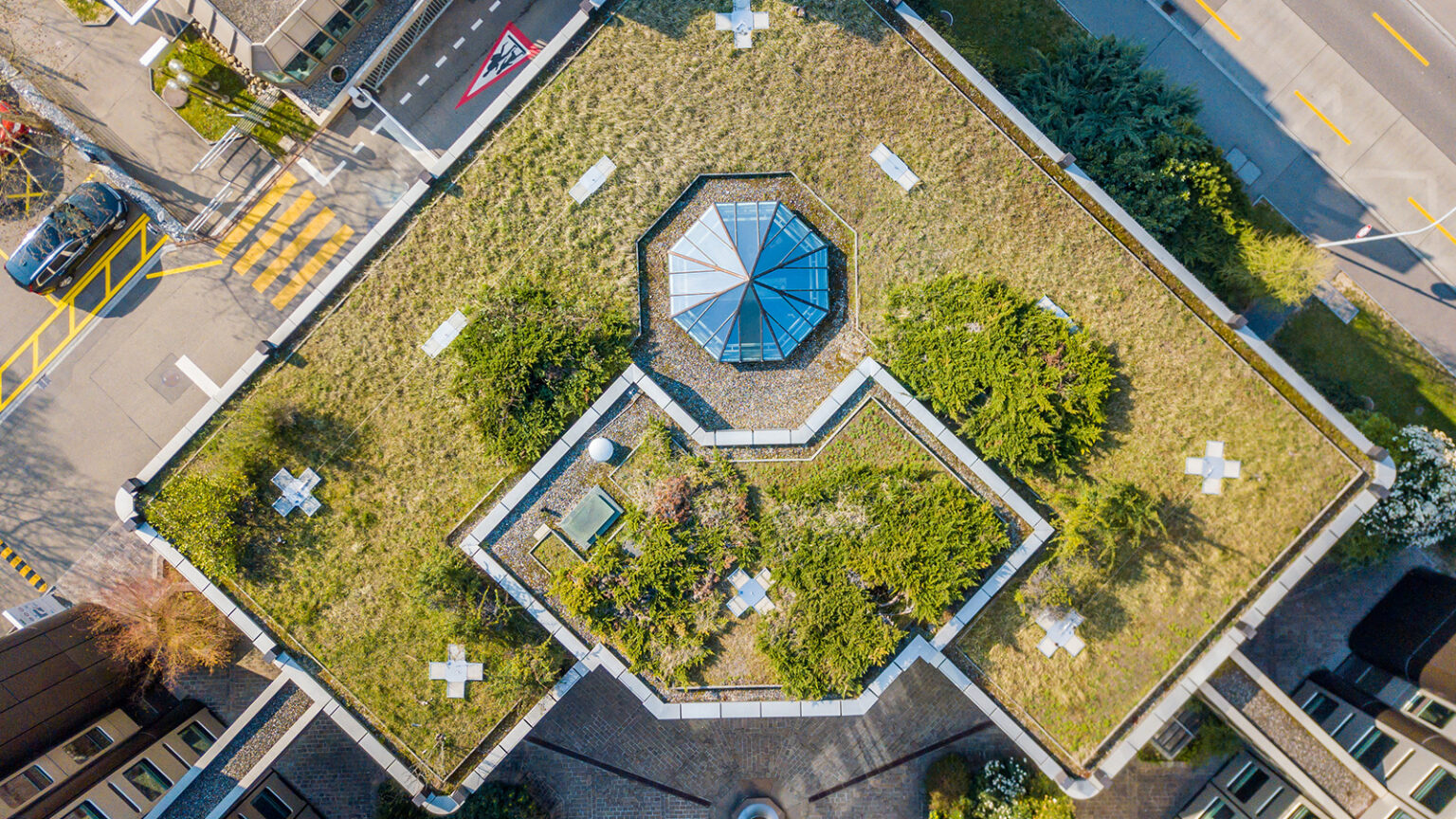 benefices toiture vegetalisee