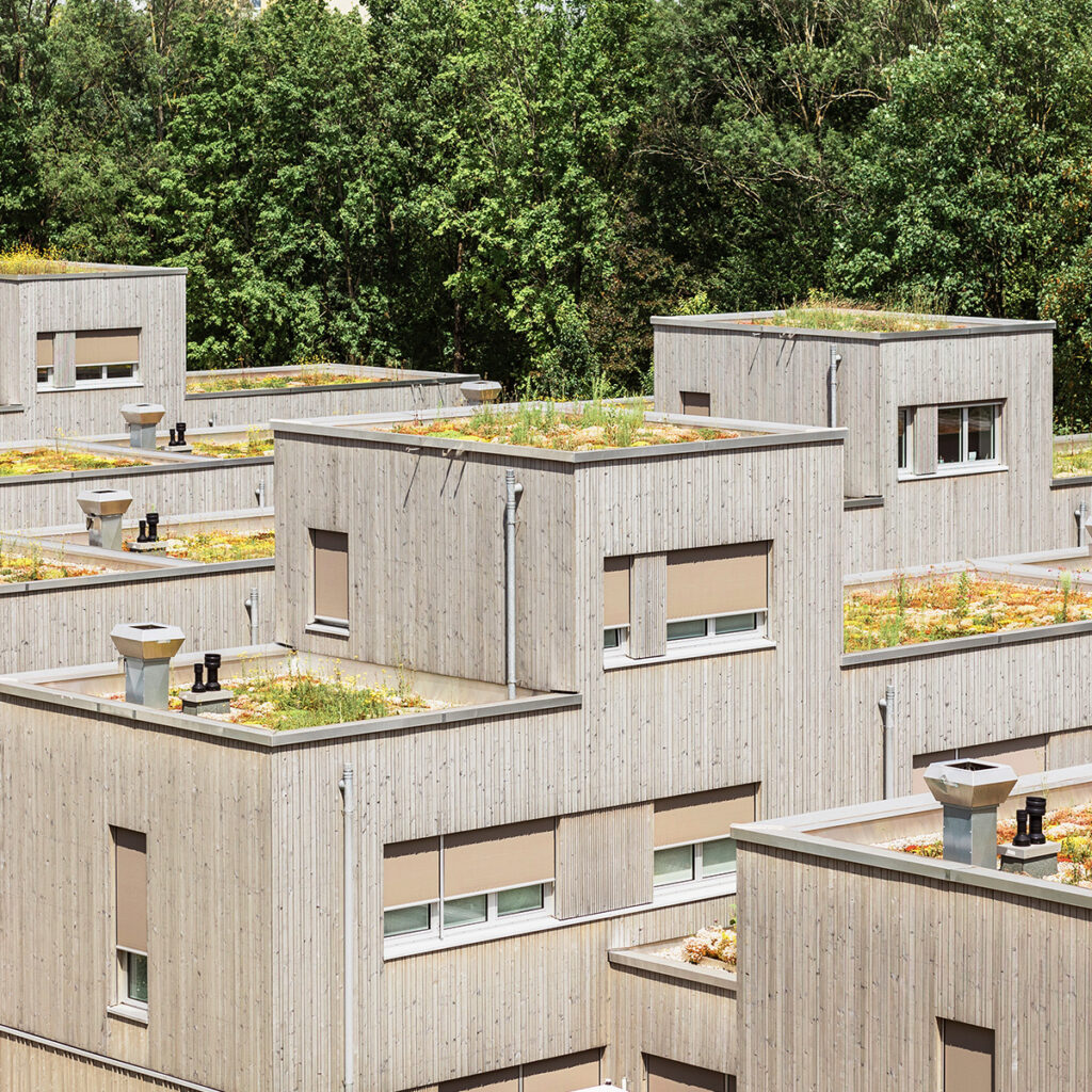 toits vegetalises isolation naturelle