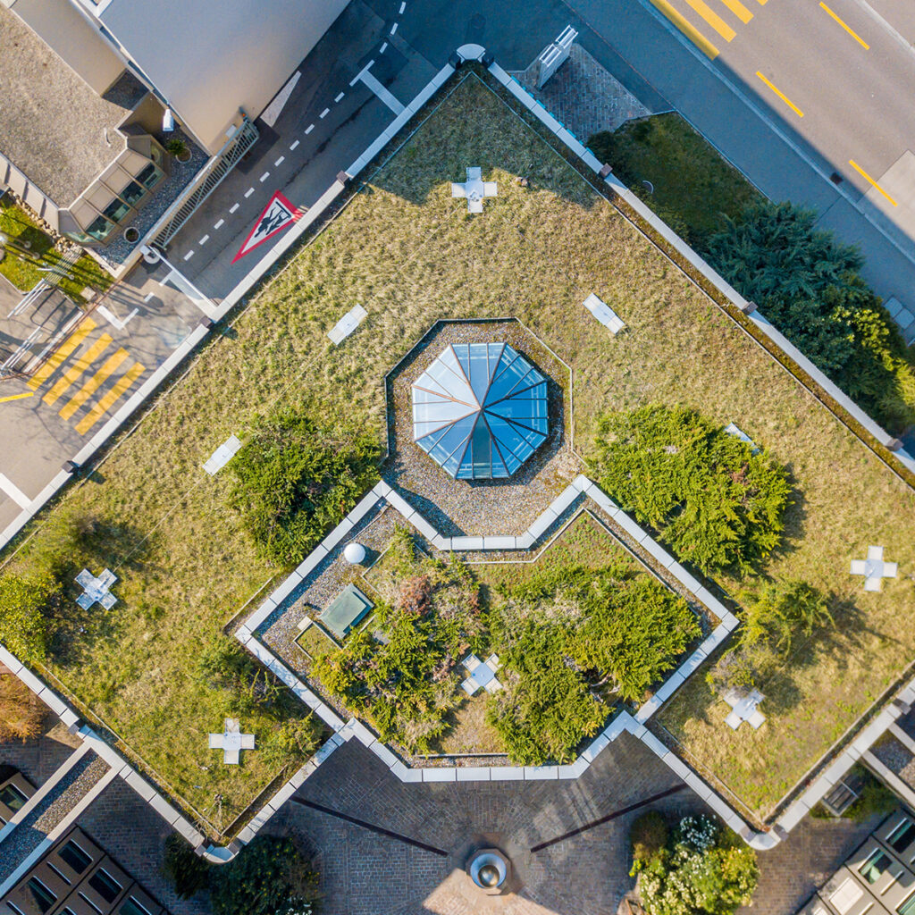 toiture vegetalise valorisation esthetique