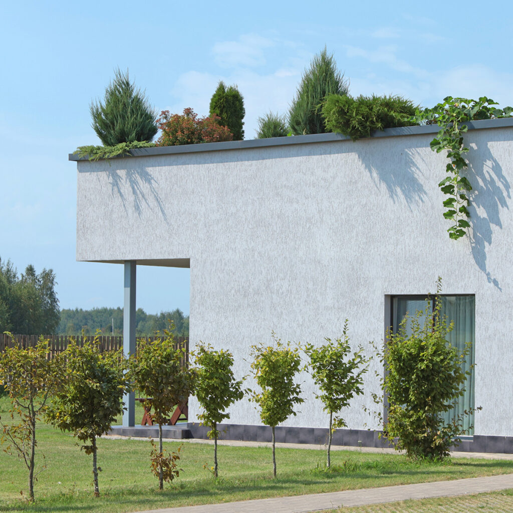 toiture vegetalise maison ecologie